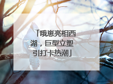 哦崽亮相西湖，巨型立塑引打卡热潮