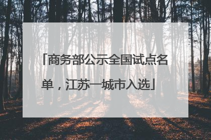 商务部公示全国试点名单，江苏一城市入选