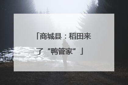 商城县：稻田来了“鸭管家”