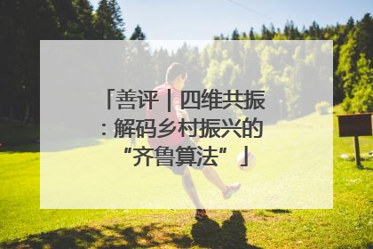 善评｜四维共振：解码乡村振兴的“齐鲁算法”