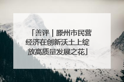 善评｜滕州市民营经济在创新沃土上绽放高质量发展之花