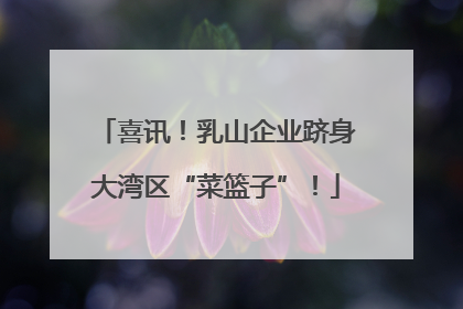 喜讯！乳山企业跻身大湾区“菜篮子”！