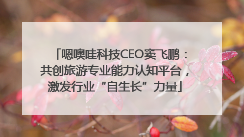 嗯噢哇科技CEO窦飞鹏：共创旅游专业能力认知平台，激发行业“自生长”力量