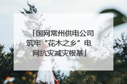 国网常州供电公司筑牢“花木之乡”电网抗灾减灾根基