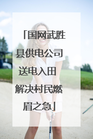 国网武胜县供电公司送电入田 解决村民燃眉之急