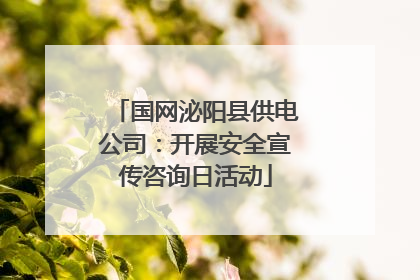 国网泌阳县供电公司：开展安全宣传咨询日活动