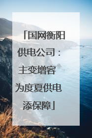 国网衡阳供电公司：主变增容 为度夏供电添保障