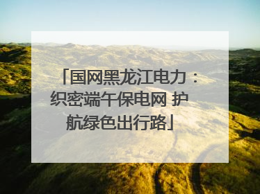 国网黑龙江电力：织密端午保电网 护航绿色出行路