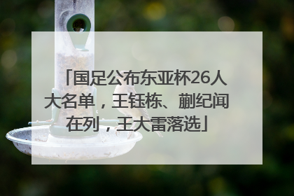 国足公布东亚杯26人大名单，王钰栋、蒯纪闻在列，王大雷落选