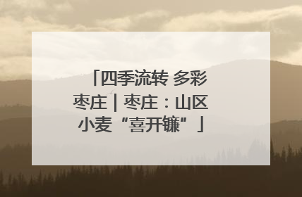 四季流转 多彩枣庄｜枣庄：山区小麦“喜开镰”