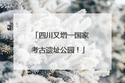 四川又增一国家考古遗址公园！