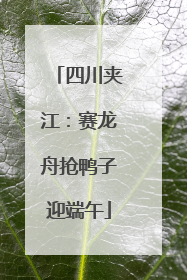 四川夹江：赛龙舟抢鸭子迎端午