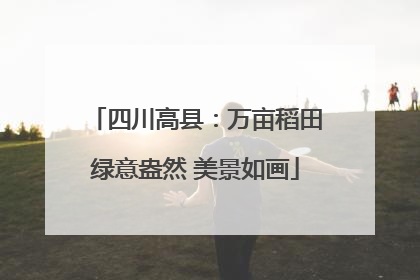 四川高县：万亩稻田绿意盎然 美景如画
