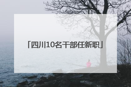 四川10名干部任新职