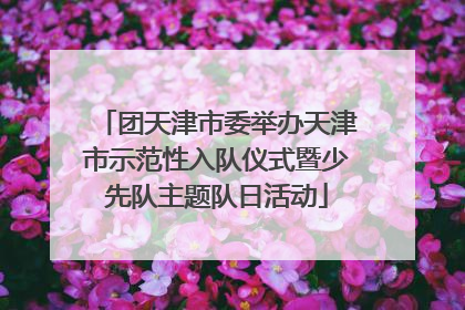 团天津市委举办天津市示范性入队仪式暨少先队主题队日活动