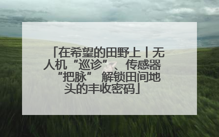 在希望的田野上丨无人机“巡诊”、传感器“把脉” 解锁田间地头的丰收密码