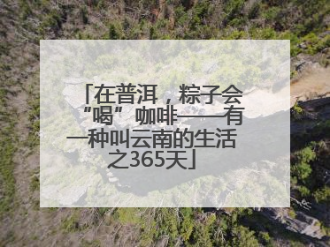 在普洱，粽子会“喝”咖啡——有一种叫云南的生活之365天