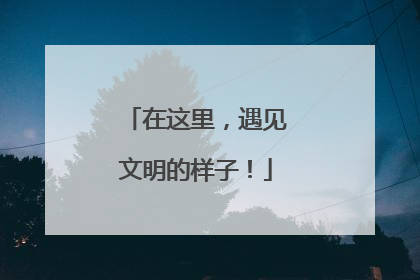 在这里，遇见文明的样子！