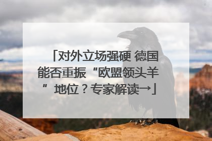对外立场强硬 德国能否重振“欧盟领头羊”地位？专家解读→