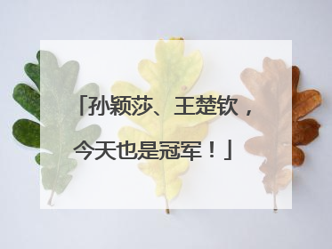 孙颖莎、王楚钦，今天也是冠军！