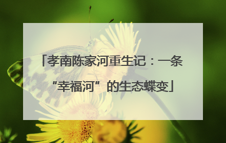 孝南陈家河重生记：一条“幸福河”的生态蝶变