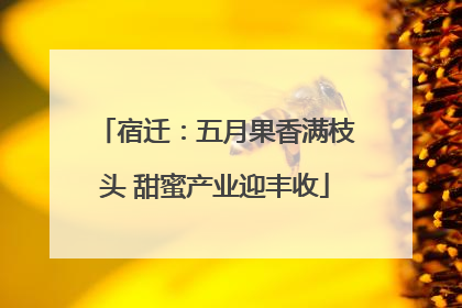 宿迁：五月果香满枝头 甜蜜产业迎丰收