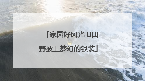 家园好风光 ⎮田野披上梦幻的银装