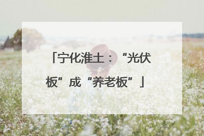 宁化淮土：“光伏板”成“养老板”