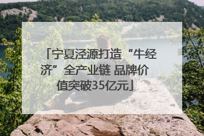 宁夏泾源打造“牛经济”全产业链 品牌价值突破35亿元