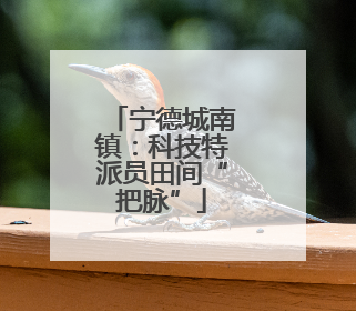 宁德城南镇：科技特派员田间“把脉”