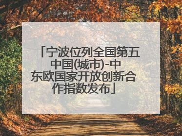 宁波位列全国第五 中国(城市)-中东欧国家开放创新合作指数发布