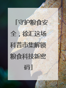守护粮食安全，徐汇这场科普市集解锁粮食科技新密码