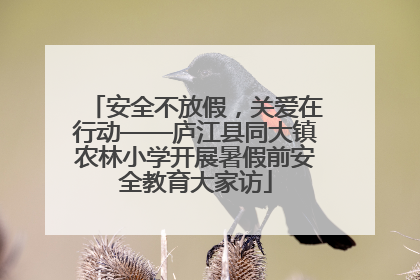 安全不放假，关爱在行动——庐江县同大镇农林小学开展暑假前安全教育大家访