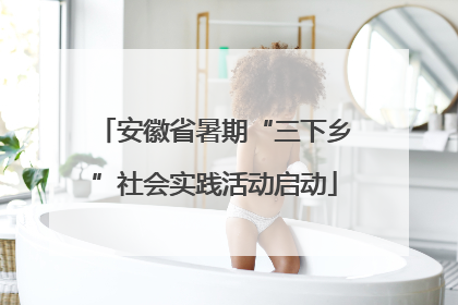 安徽省暑期“三下乡”社会实践活动启动