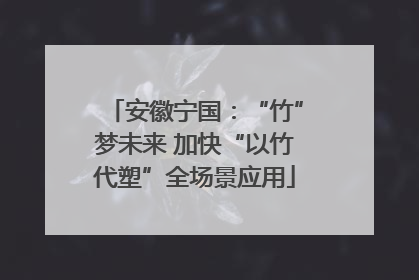 安徽宁国：“竹”梦未来 加快“以竹代塑”全场景应用