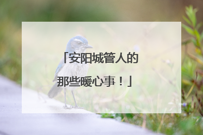 安阳城管人的那些暖心事！