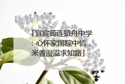 宜宾筠连镇舟中学：心怀家国粽中情，米香漫溢求知路