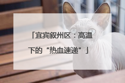 宜宾叙州区：高温下的“热血速递”