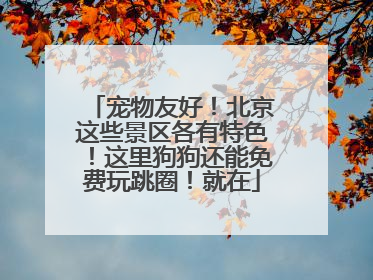 宠物友好！北京这些景区各有特色！这里狗狗还能免费玩跳圈！就在