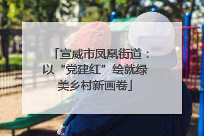 宣威市凤凰街道：以“党建红”绘就绿美乡村新画卷
