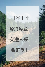 塞上平原冷凉蔬菜进入采收旺季