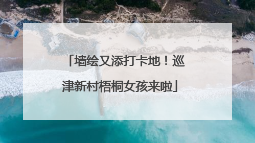 墙绘又添打卡地！巡津新村梧桐女孩来啦