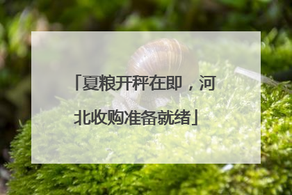夏粮开秤在即，河北收购准备就绪