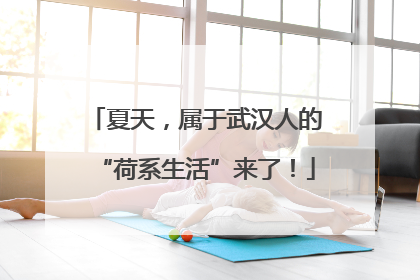 夏天，属于武汉人的“荷系生活”来了！
