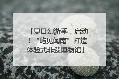 夏日幻游季，启动！“屿见闽南”打造体验式非遗博物馆