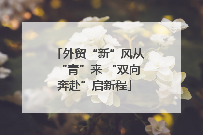 外贸“新”风从“青”来 “双向奔赴”启新程