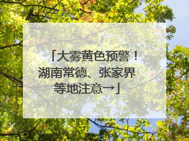 大雾黄色预警！湖南常德、张家界等地注意→