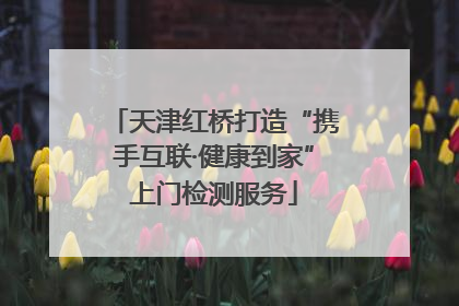 天津红桥打造“携手互联·健康到家”上门检测服务