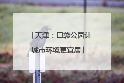 天津：口袋公园让城市环境更宜居