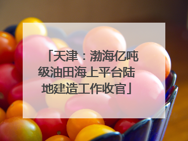 天津：渤海亿吨级油田海上平台陆地建造工作收官